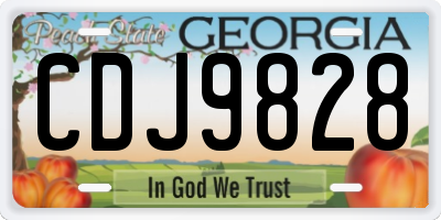 GA license plate CDJ9828