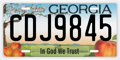 GA license plate CDJ9845
