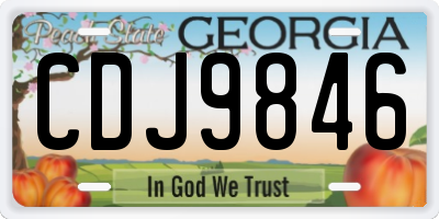 GA license plate CDJ9846
