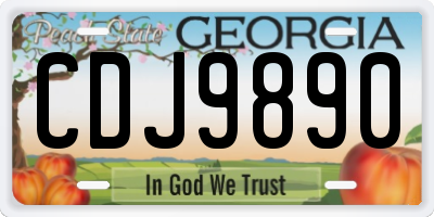 GA license plate CDJ9890