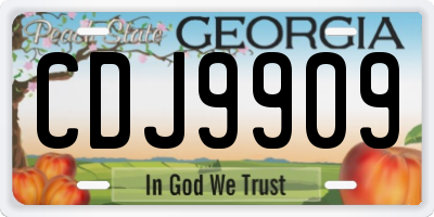 GA license plate CDJ9909