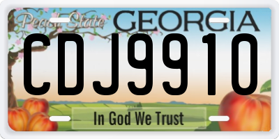 GA license plate CDJ9910