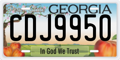 GA license plate CDJ9950