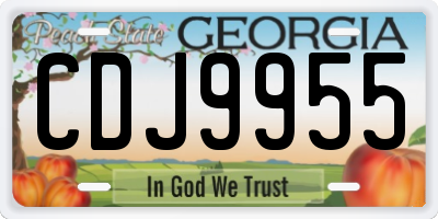 GA license plate CDJ9955