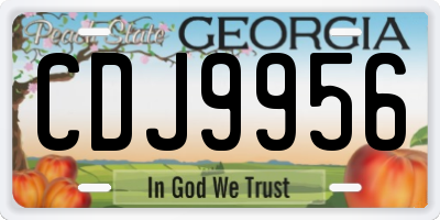 GA license plate CDJ9956