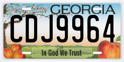 GA license plate CDJ9964