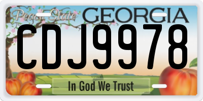 GA license plate CDJ9978