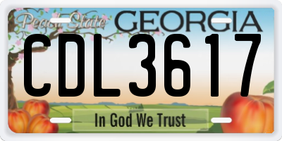GA license plate CDL3617
