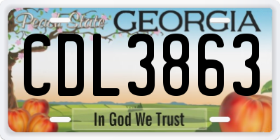 GA license plate CDL3863