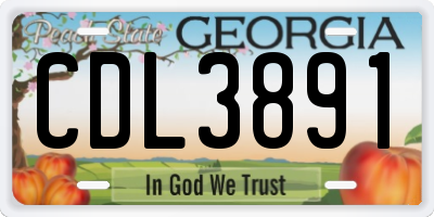 GA license plate CDL3891