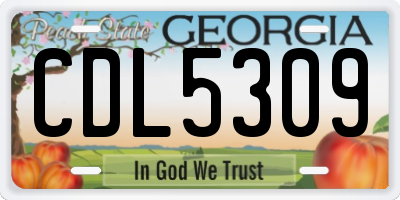 GA license plate CDL5309