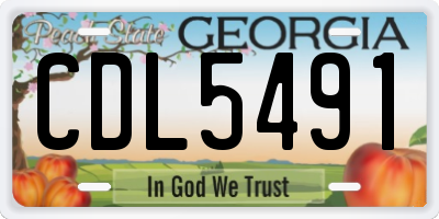GA license plate CDL5491