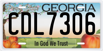 GA license plate CDL7306