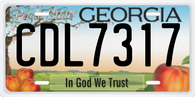 GA license plate CDL7317