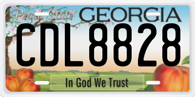 GA license plate CDL8828