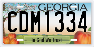 GA license plate CDM1334