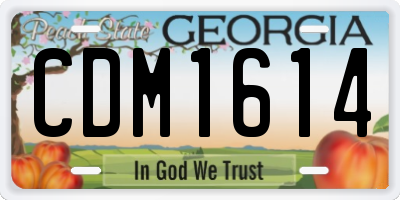 GA license plate CDM1614