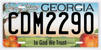 GA license plate CDM2290
