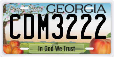 GA license plate CDM3222