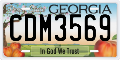 GA license plate CDM3569