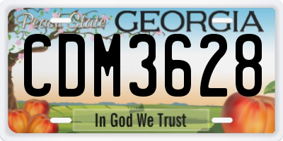 GA license plate CDM3628