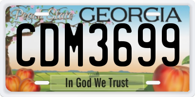 GA license plate CDM3699