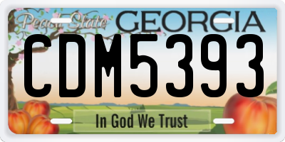 GA license plate CDM5393