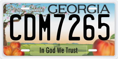 GA license plate CDM7265