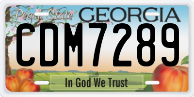GA license plate CDM7289