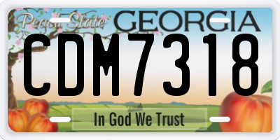 GA license plate CDM7318