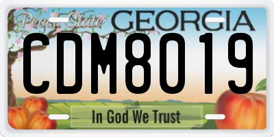 GA license plate CDM8019