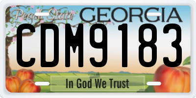 GA license plate CDM9183