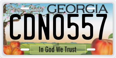 GA license plate CDN0557