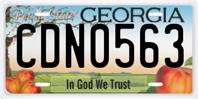 GA license plate CDN0563