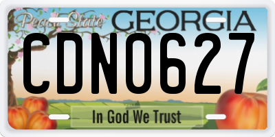 GA license plate CDN0627