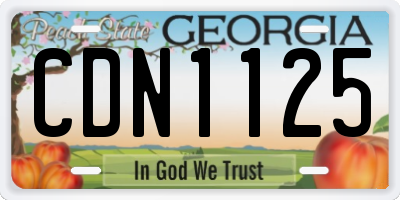 GA license plate CDN1125