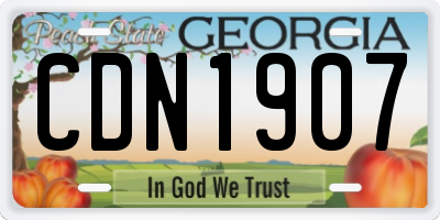 GA license plate CDN1907