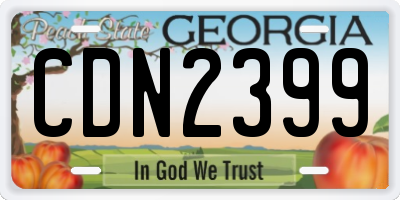 GA license plate CDN2399