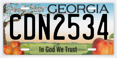 GA license plate CDN2534