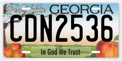 GA license plate CDN2536