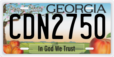 GA license plate CDN2750