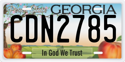 GA license plate CDN2785