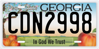 GA license plate CDN2998