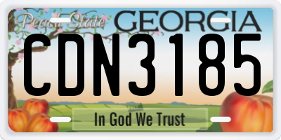 GA license plate CDN3185