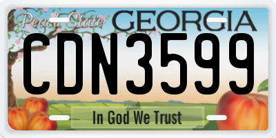 GA license plate CDN3599