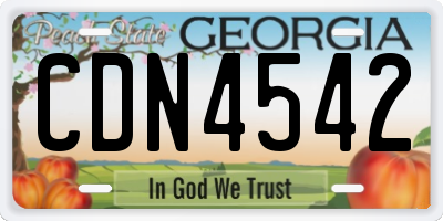 GA license plate CDN4542