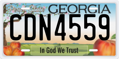 GA license plate CDN4559