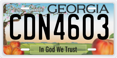 GA license plate CDN4603