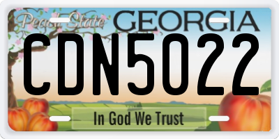 GA license plate CDN5022