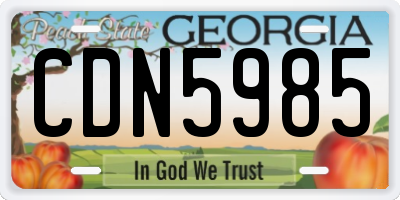 GA license plate CDN5985